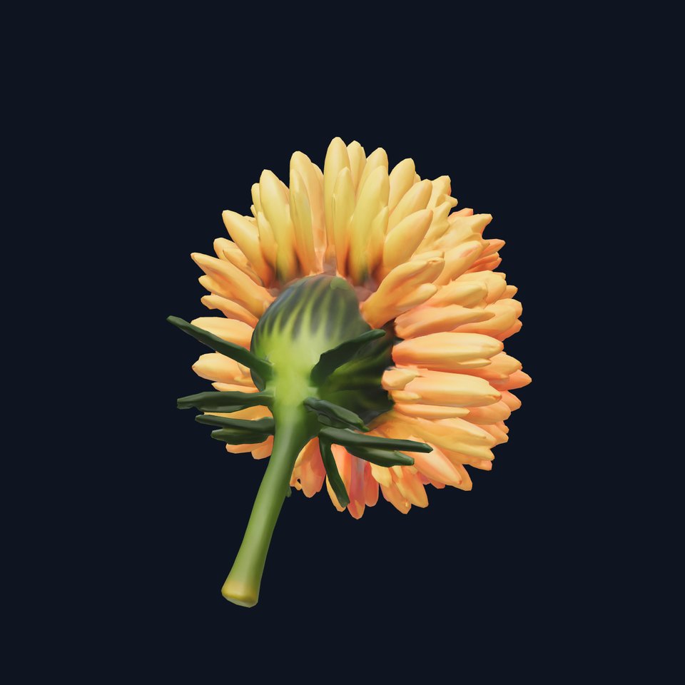 Chrysanthemum Minor Flower Model Pack